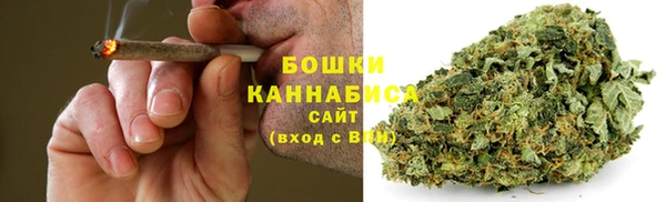 apvp Няндома