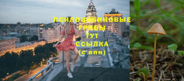 мет Абаза